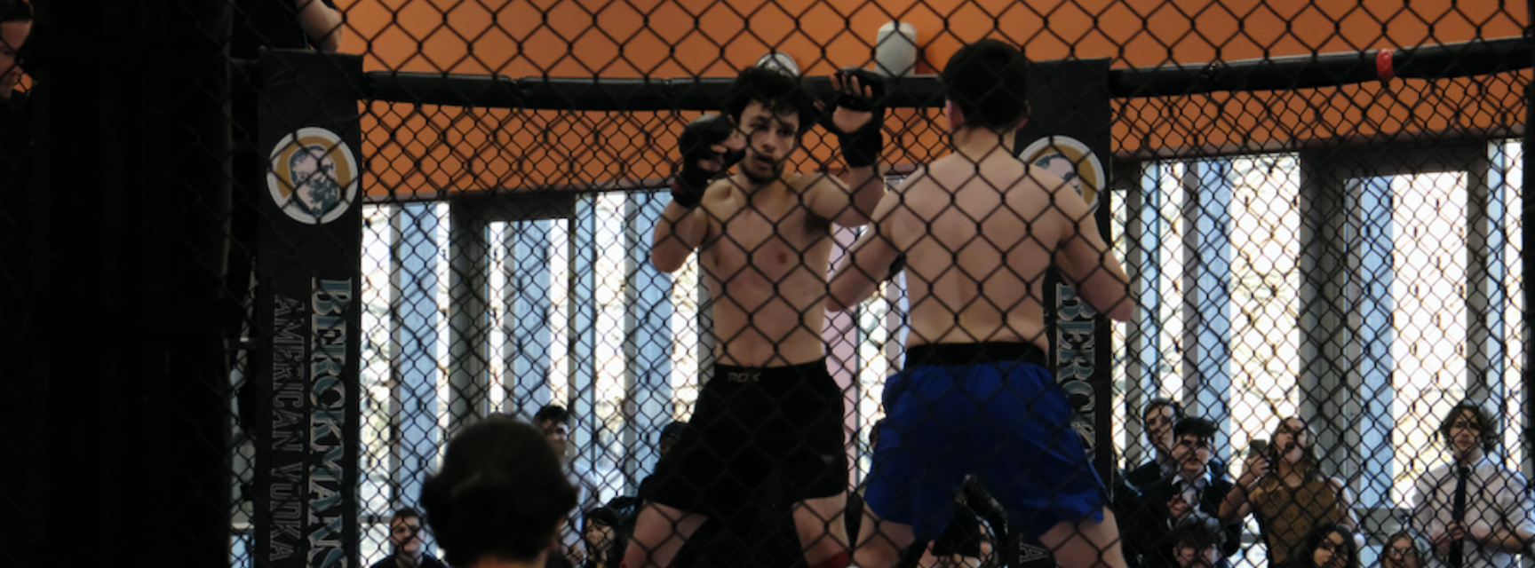 Mixed Martial Arts