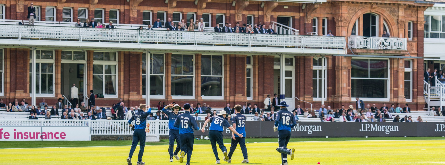 Cricket