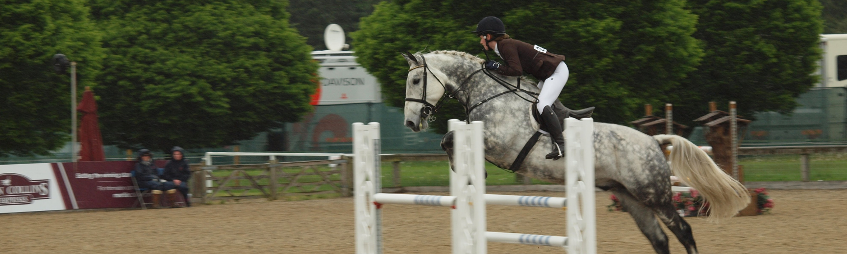 Equestrian