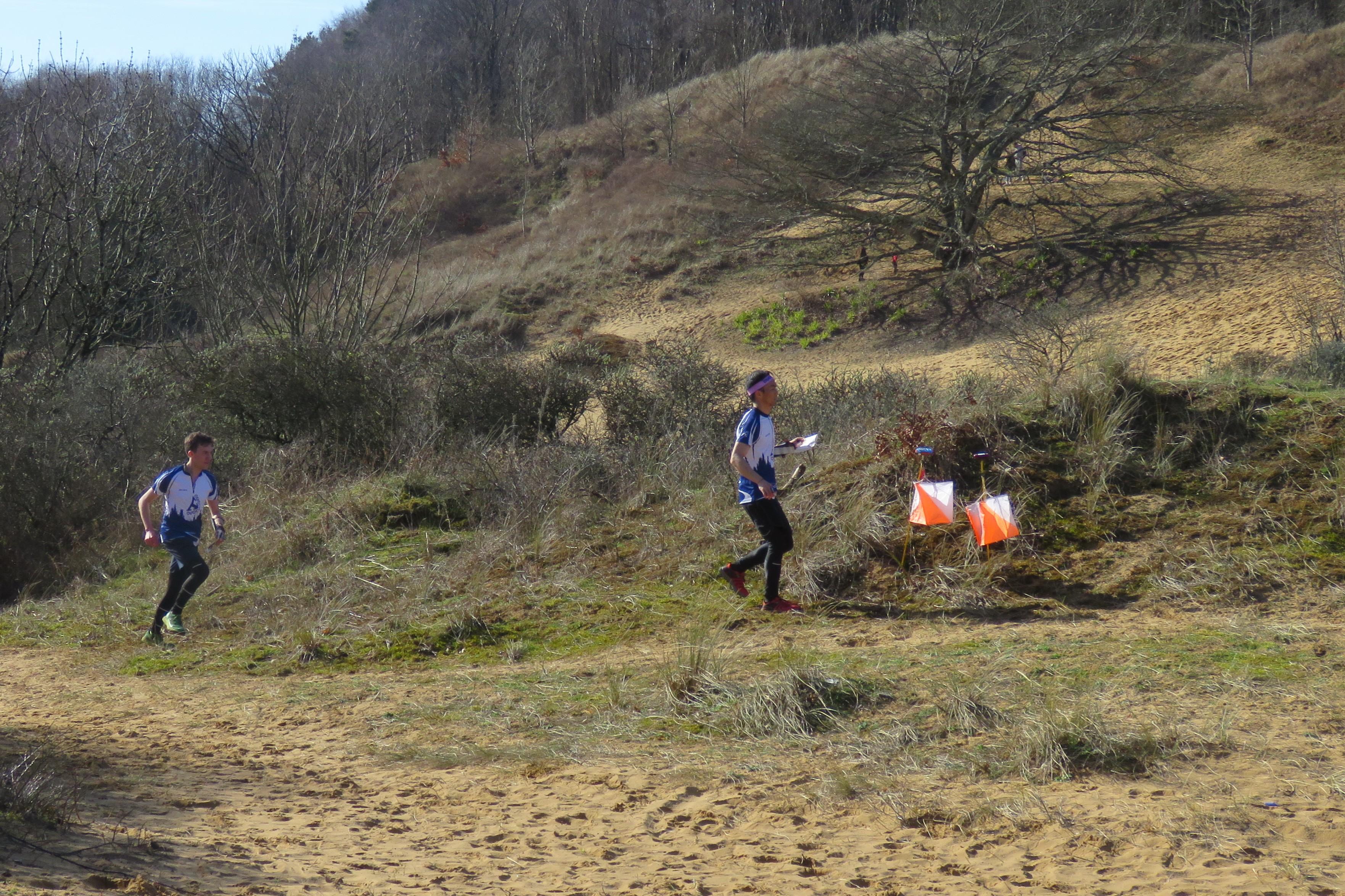 Orienteering — photograph 3